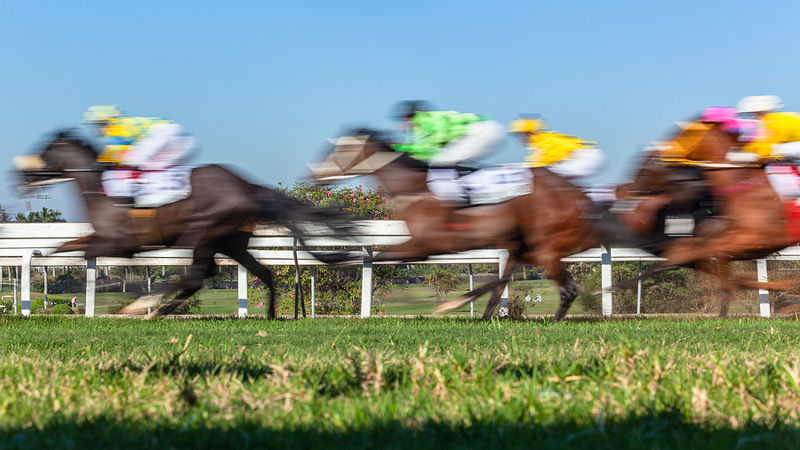 Horse Running in Race (Blurred)