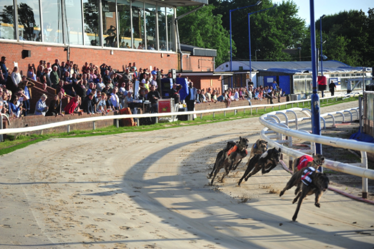 London Dog Racing Tracks – The London Gambler